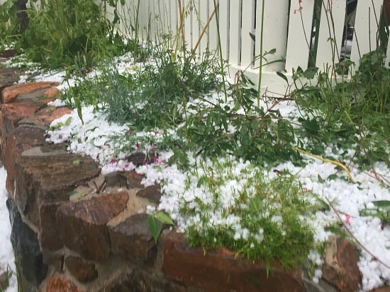 Nothing made it. I thought murder was a crime. The hail needs to go away for a long time! LOL! 