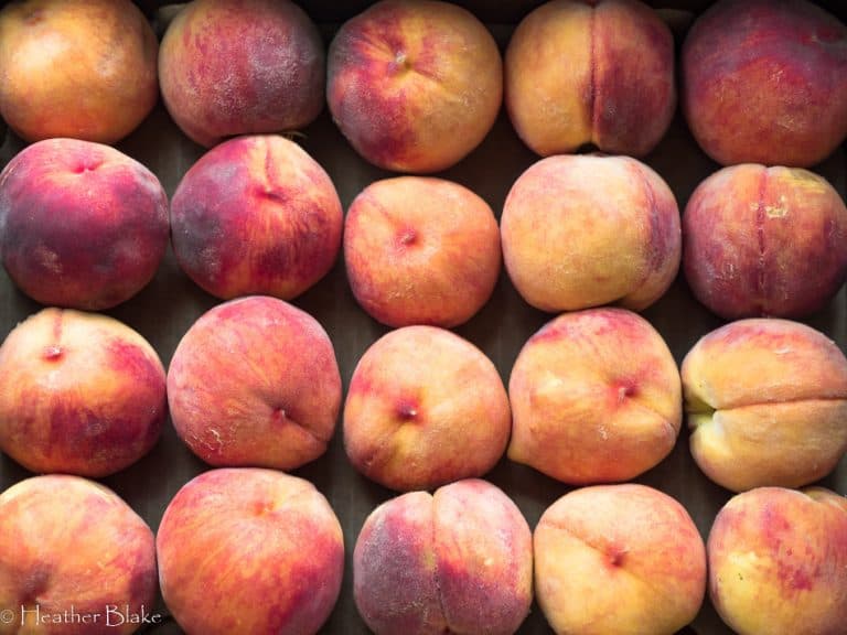 Fresh Peach Nectar - Rocky Mountain Cooking