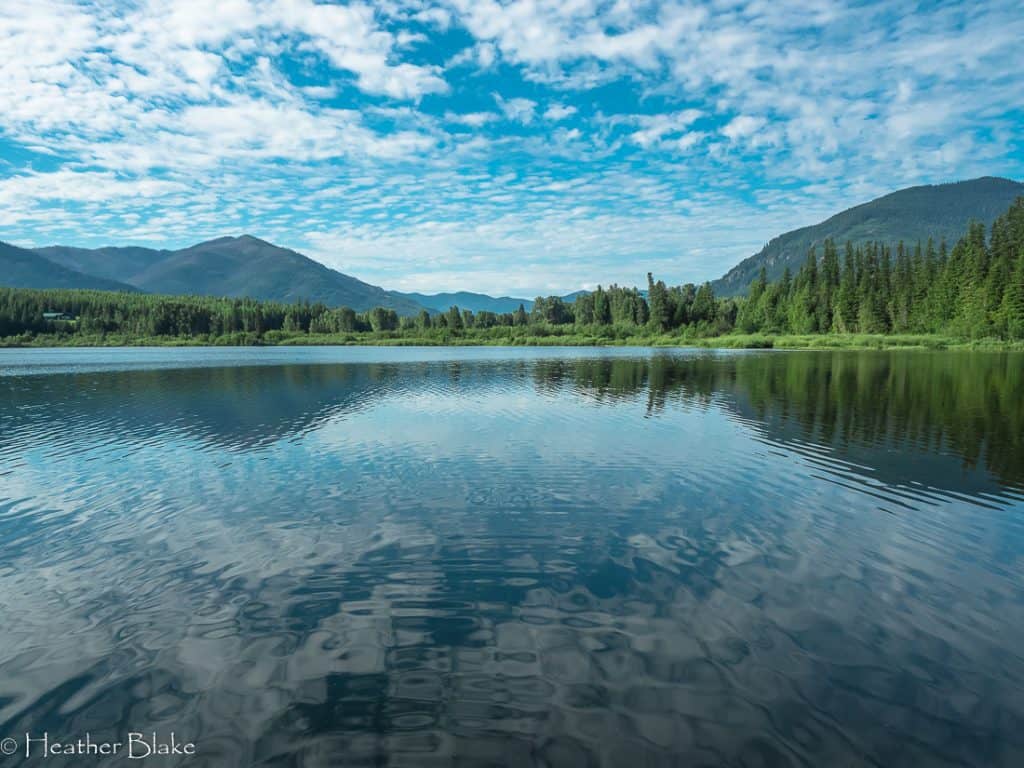 A picture of Bull Lake in Montana