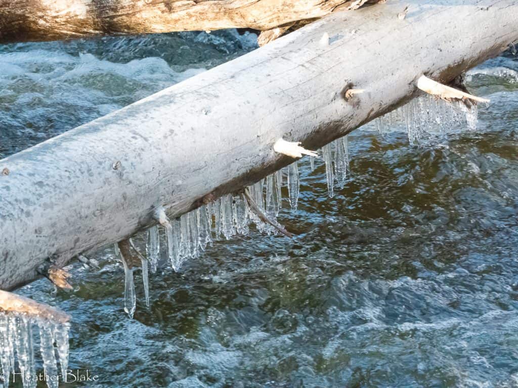 A picture of Icicles on a log in Gould, Colorado
