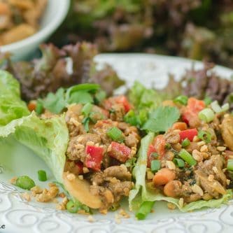 A picture of Thai Chicken Lettuce Wraps