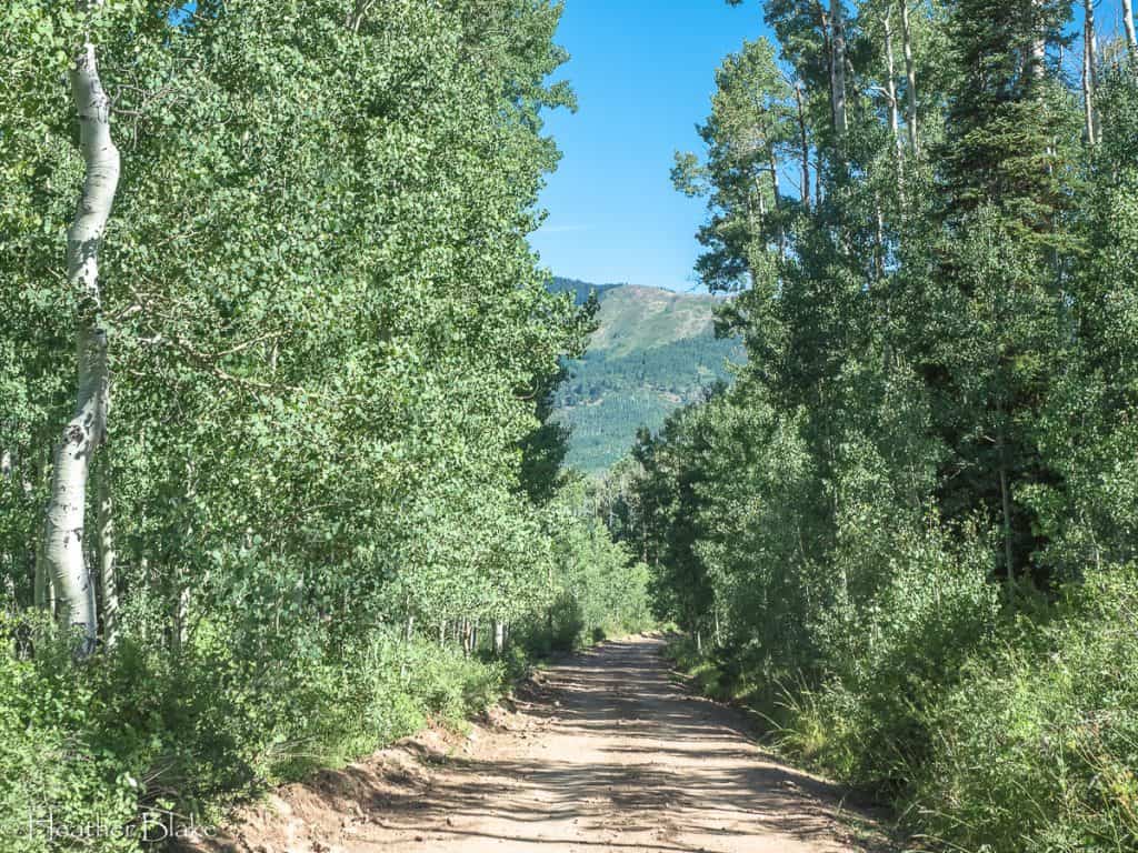 A picture of a dirt road near McClure Pass, Colorado