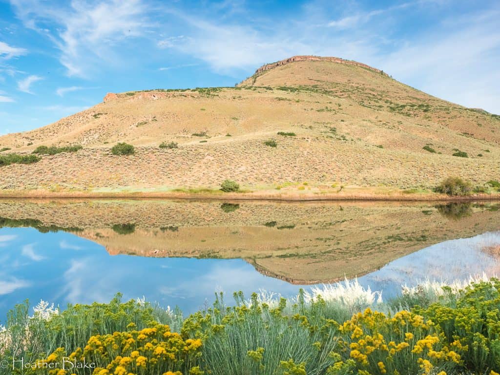 This is a picture of a pond with a reflection taken near Blue Mesa Reservoir, Colorado