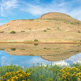 This is a picture of a pond with a reflection taken near Blue Mesa Reservoir, Colorado