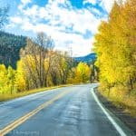 A picture of colorful aspen trees seen from the road while driving the Silver Thread Scenic Byway in Colorado.