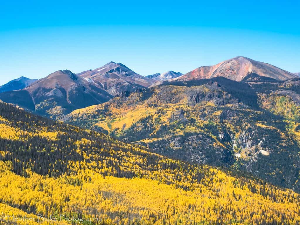 A picture of mountains in the San Juan range in Colorado and changing aspen trees